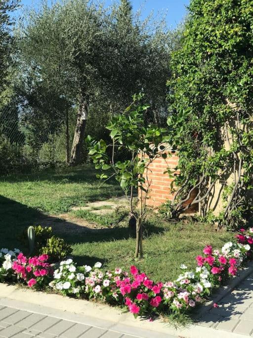 Casa Isabelle Appartement Canneto  Buitenkant foto